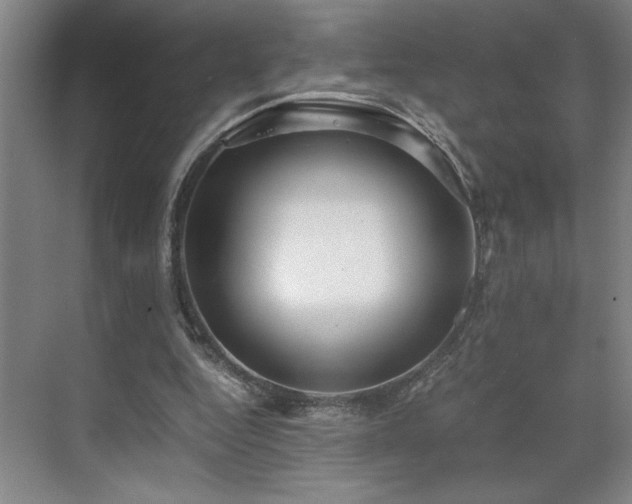 X0000071760344200607071241