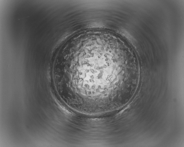 X0000071760345200607071241