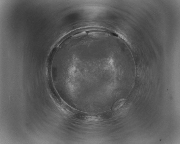 X0000071760347200607071241