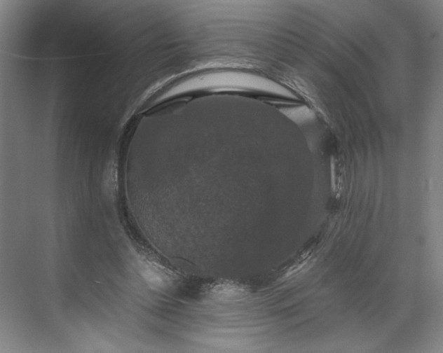 X0000071760348200607071242