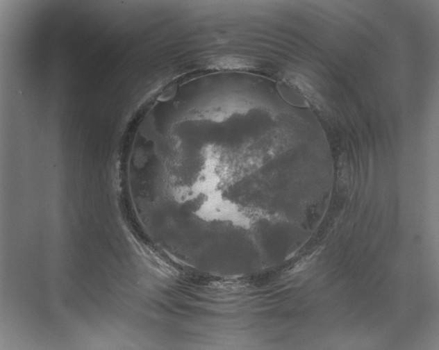 X0000071760351200607071242