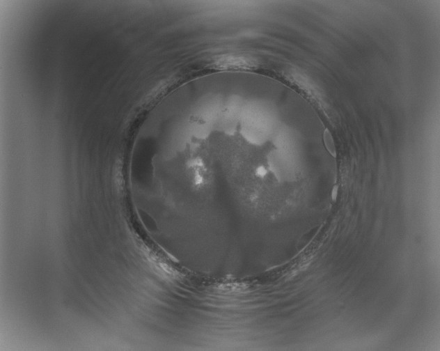 X0000071760353200607071242