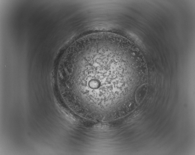 X0000071760354200607071242