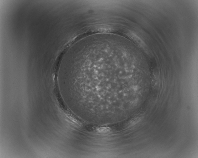 X0000071760355200607071242