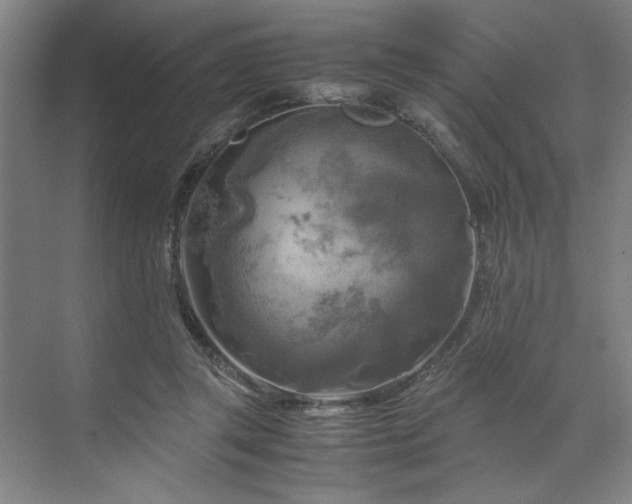 X0000071760357200607071242