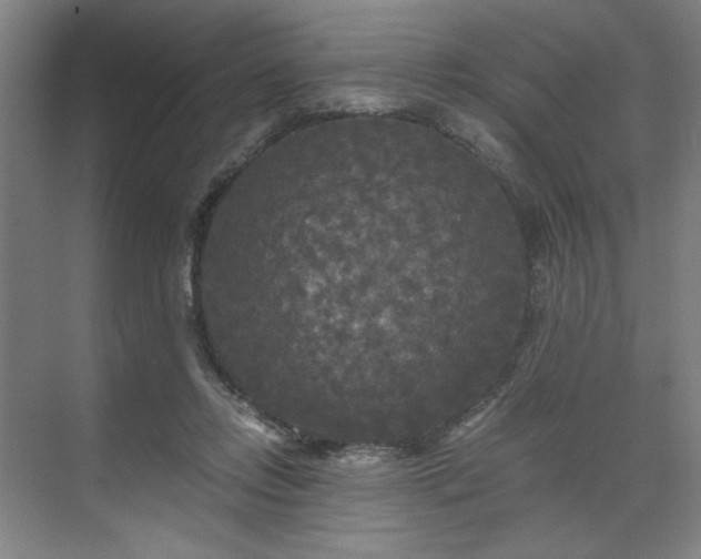 X0000071760358200607071242