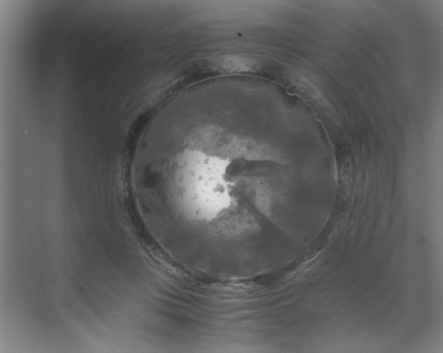 X0000071760359200607071242