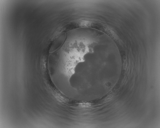 X0000071760363200607071242