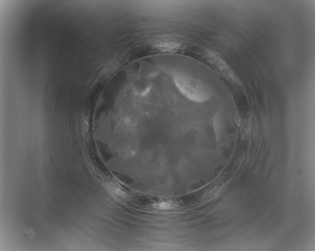 X0000071760365200607071242