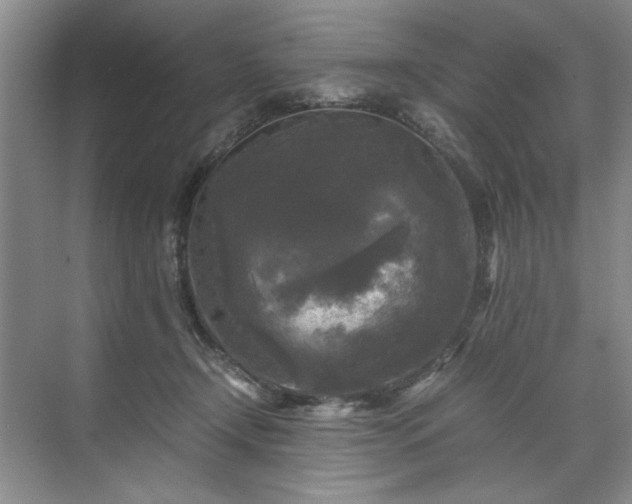 X0000071760366200607071242