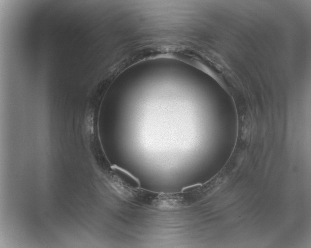 X0000071760368200607071242