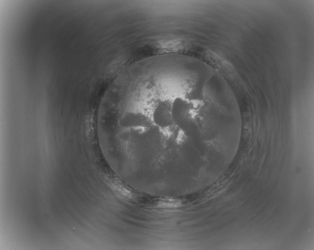 X0000071760369200607071242