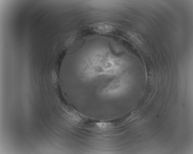 X0000071760371200607071242