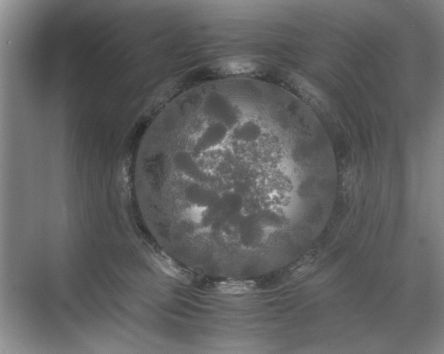 X0000071760373200607071242