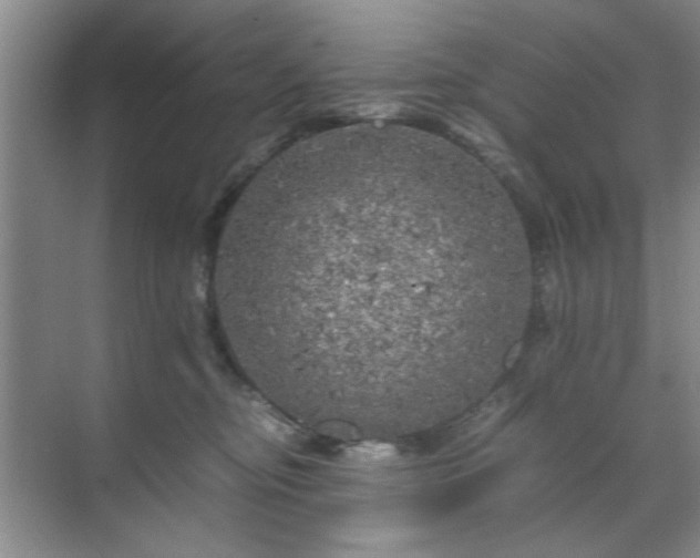 X0000071760374200607071242