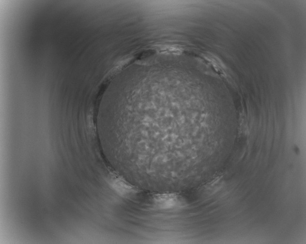 X0000071760377200607071242