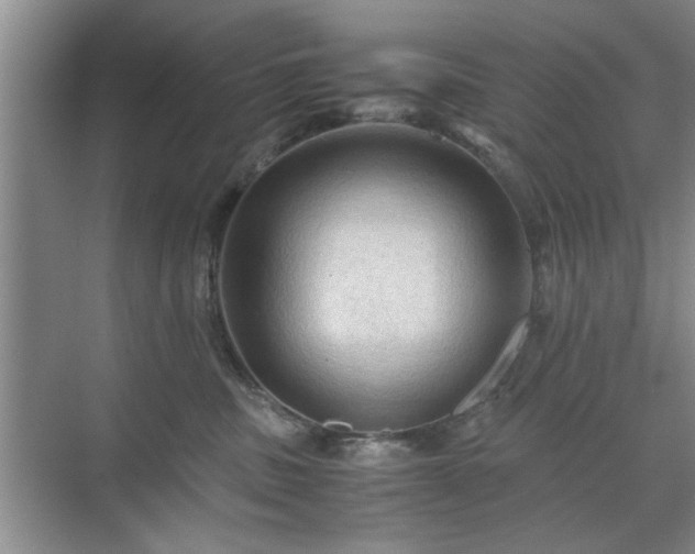 X0000071760379200607071242