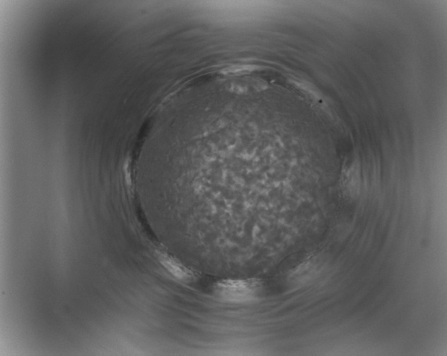 X0000071760381200607071242