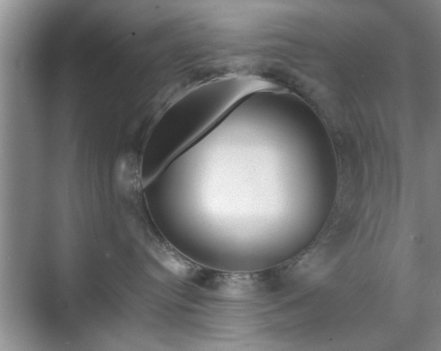 X0000071760384200607071242