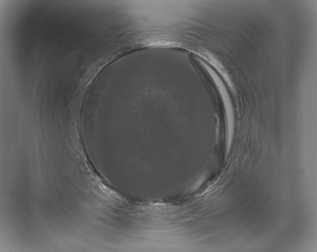 X0000071760385200607071241