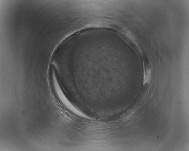 X0000071760387200607071241