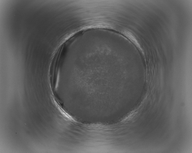 X0000071760389200607071241