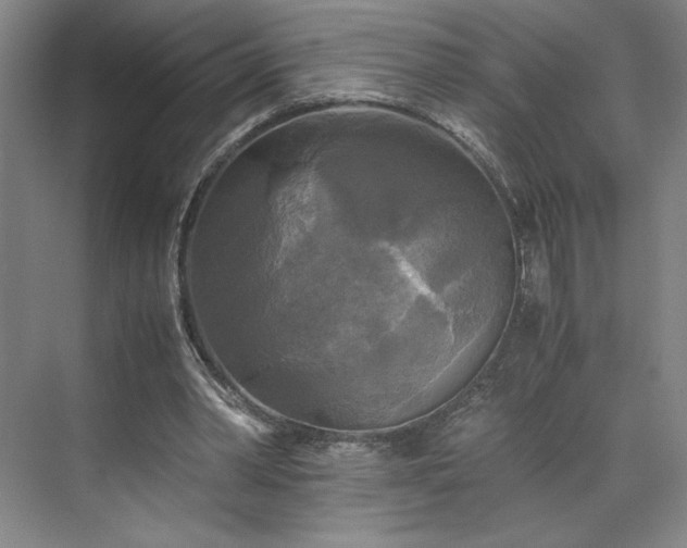 X0000071760390200607071241