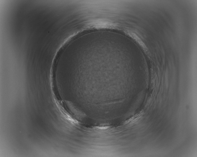 X0000071760391200607071241