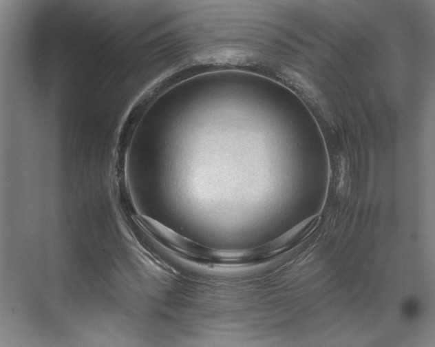 X0000071760392200607071241