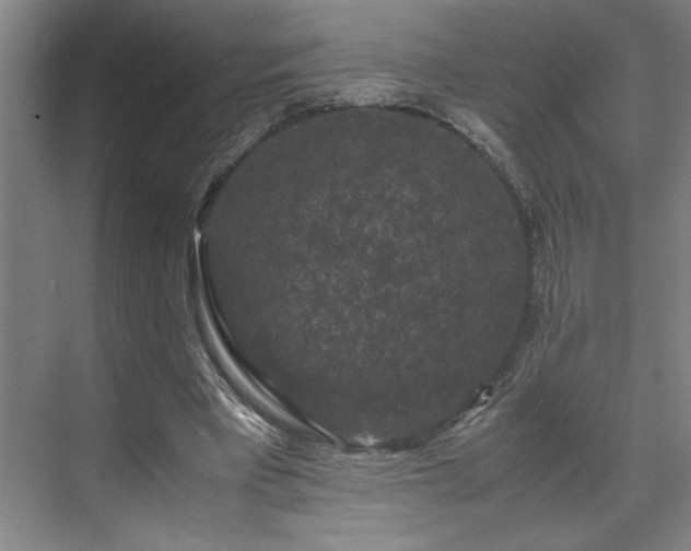 X0000071760393200607071241