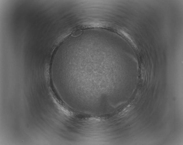 X0000071760394200607071241