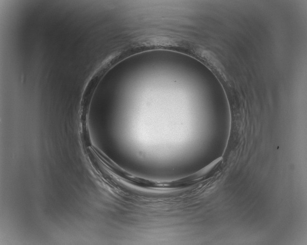 X0000071760395200607071241