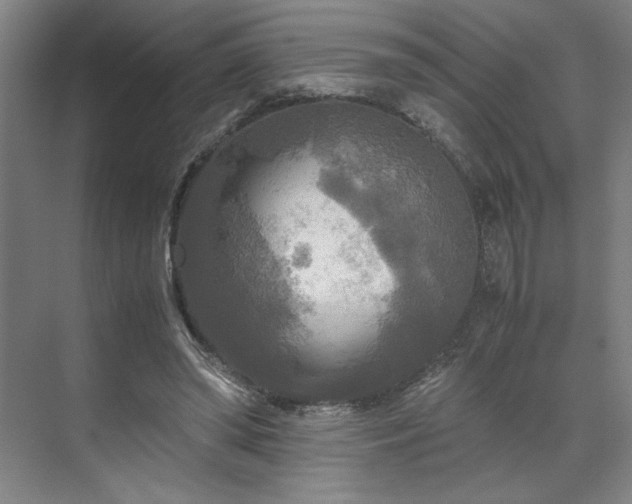 X0000071760398200607071241