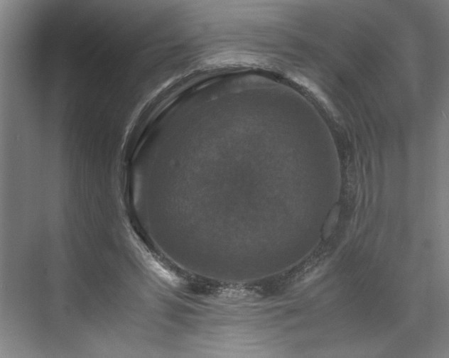 X0000071760399200607071241