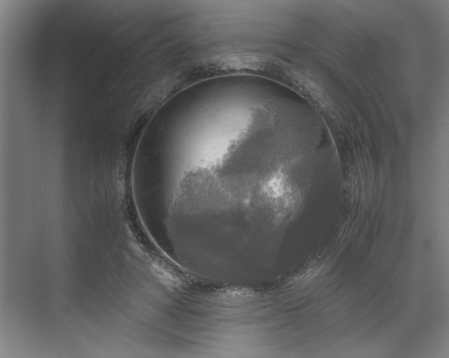 X0000071760402200607071241