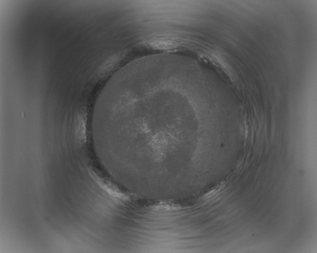 X0000071760404200607071241