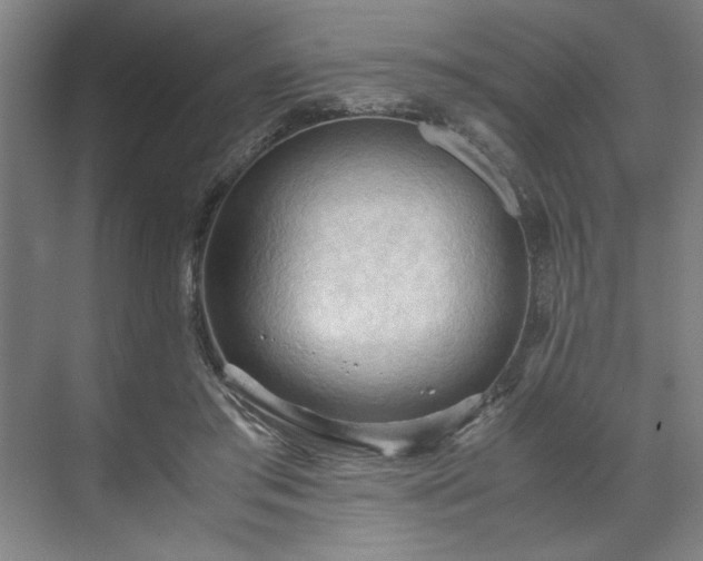 X0000071760405200607071241