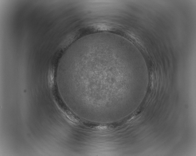 X0000071760406200607071241