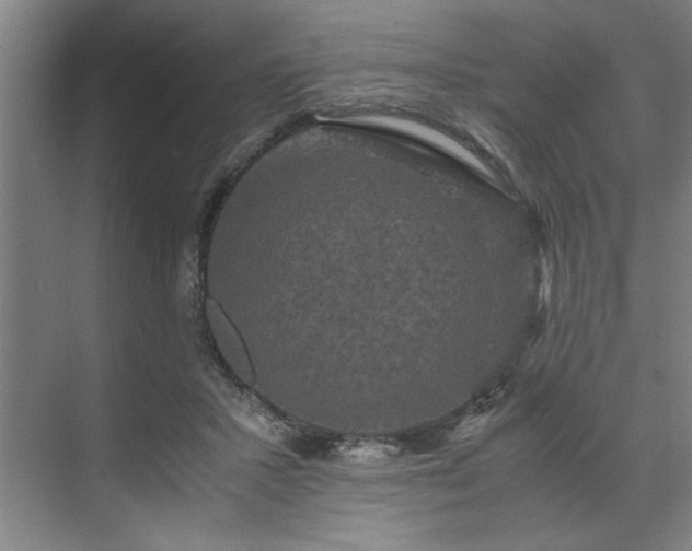 X0000071760407200607071241