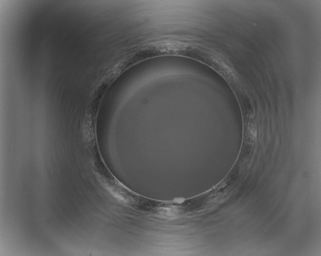 X0000071760411200607071241