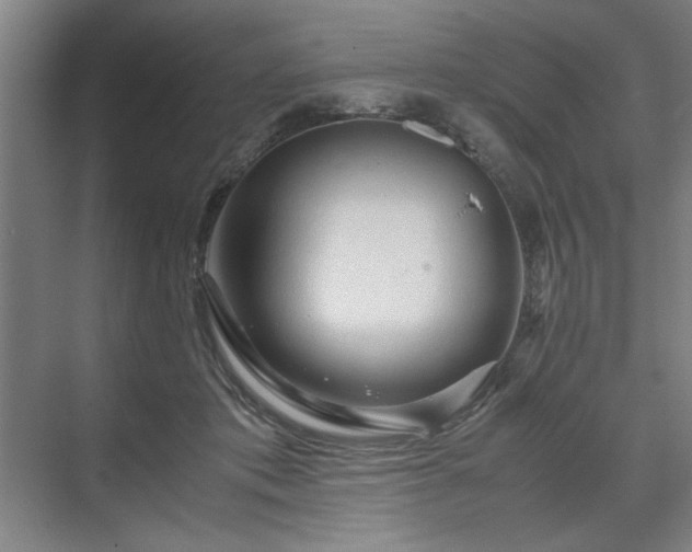 X0000071760413200607071241