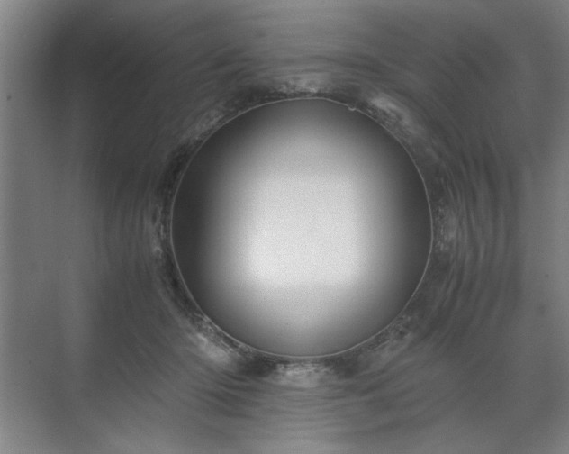 X0000071760414200607071241