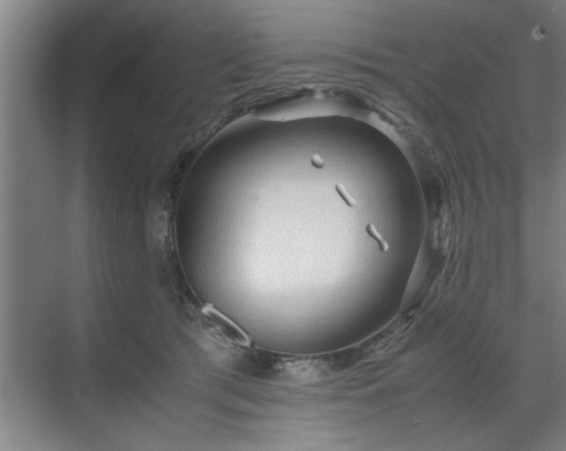 X0000071760417200607071241