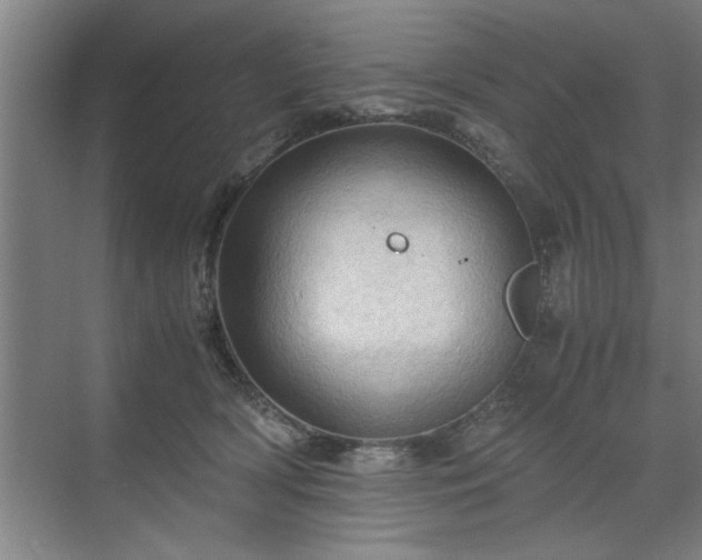 X0000071760418200607071241