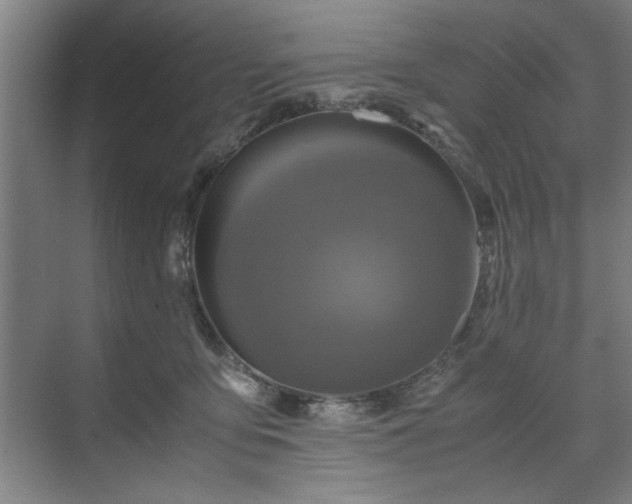 X0000071760419200607071241