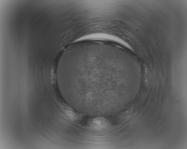 X0000071760420200607071241