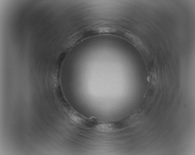 X0000071760422200607071241