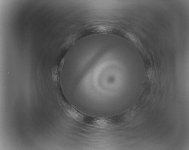 X0000071760423200607071241