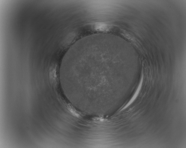 X0000071760424200607071241