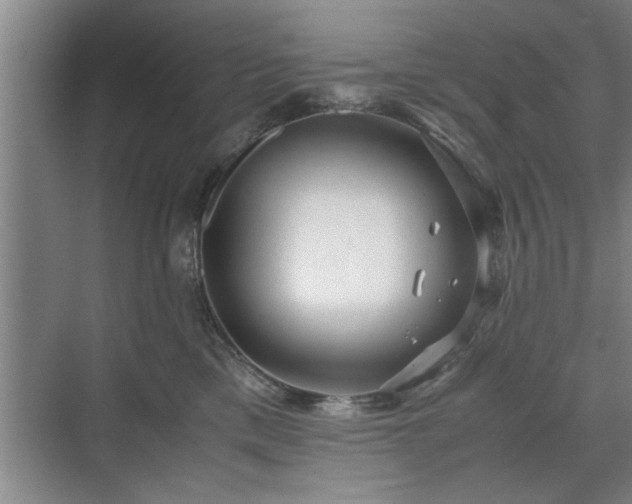 X0000071760425200607071241